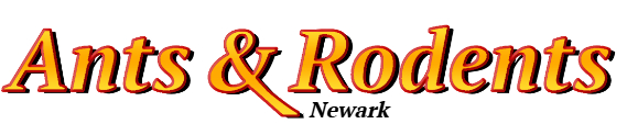 Newark Ant Exterminator & Rodent Control Company Logo
